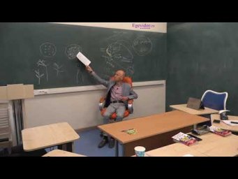 Систематизация знаний перед ЕГЭ-2019. Часть 17