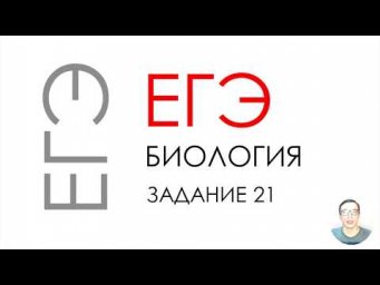 ЕГЭ биология 2020 Задание 21 Рохлов разбор