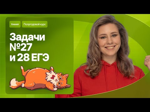 8. Все про задачи №27 и 28 ЕГЭ по химии | Полугодовой курс | Степенин и Дацук
