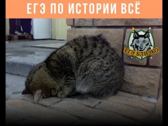 ЕГЭ по истории 2020: итоги и думы