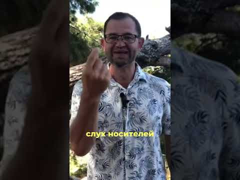 Не делегируйте свою мечту! Освоение языка через настоящие цели #полиглот #shortsfeed #shortvideo Не делегируйте свою мечту! Освоение языка через настоящие цели #полиглот #shortsfeed #shortvideo