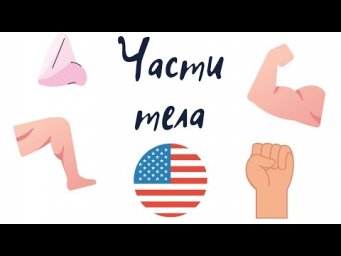 УРОК АНГЛИЙСКОГО / Слова: части тела