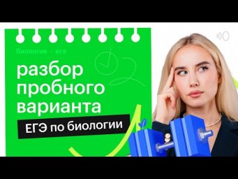 Разбор пробного варианта