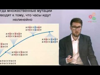 Введение. Генетика популяций. Нейтральная эволюция (без музыки)