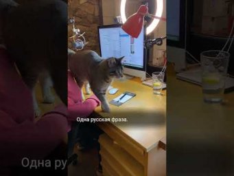 Одна русская фраза. А сколько вариантов в английском!