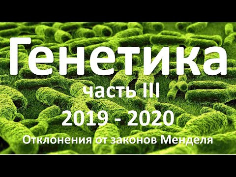 12. Генетика часть III (9 или 10-11 класс) - биология, подготовка к ЕГЭ и ОГЭ 2020