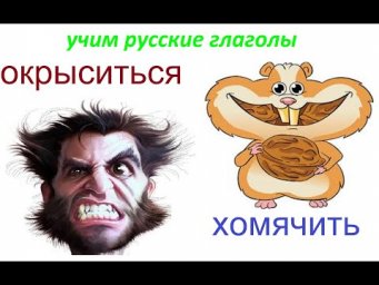 Смешные русские глаголы : ОКРЫСИТЬСЯ и ХОМЯЧИТЬ / учим русский