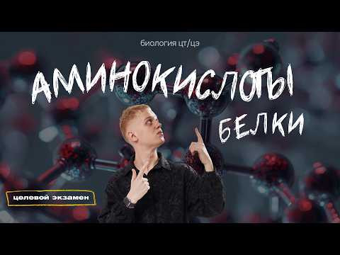 АМИНОКИСЛОТЫ. БЕЛКИ И ИХ ФУНКЦИИ АМИНОКИСЛОТЫ. БЕЛКИ И ИХ ФУНКЦИИ