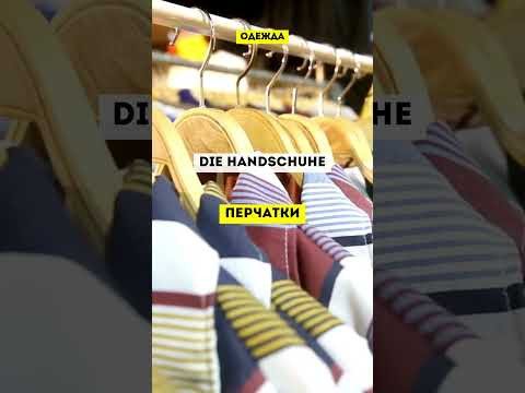 Словарный запас на немецком #одежданемецкий #немецкийснуля #немецкиеслова #немецкий #немецкийязык Словарный запас на немецком #одежданемецкий #немецкийснуля #немецкиеслова #немецкий #немецкийязык