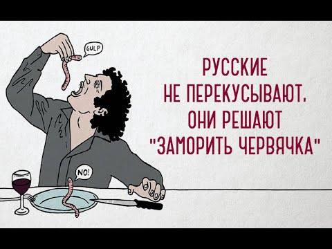 № 729 Фразеологизмы : ЗАМОРИТЬ ЧЕРВЯЧКА / учим русский разговорный