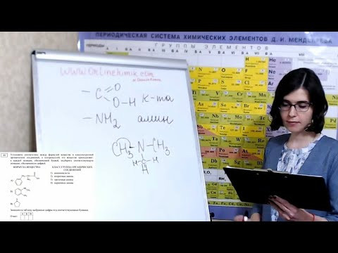 Органическая химия | Амины | Аминокислоты | Классификация | Типовое Задание 10 для ЕГЭ по химии 2022