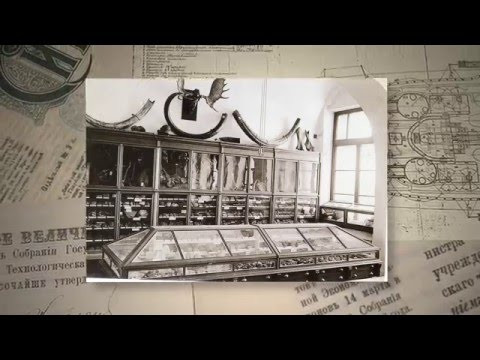 Броненосец Броненосец