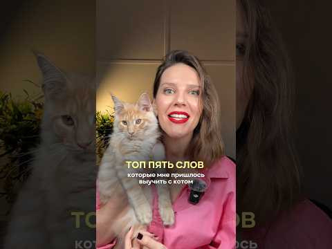 КОШАЧИЙ СЛОВАРЬ