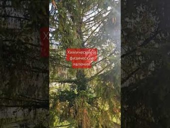 Химические и физические явления #химия