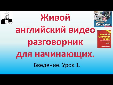 Живой английский видео разговорник для начинающих. Введение. Урок 1. Immigration and Customs.