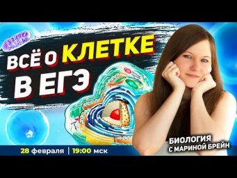 ВСЕ О КЛЕТКЕ В ЕГЭ