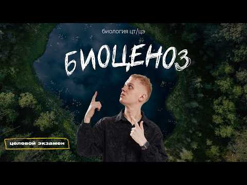 БИОЦЕНОЗ. СВЯЗИ В БИОЦЕНОЗАХ | Целевой экзамен