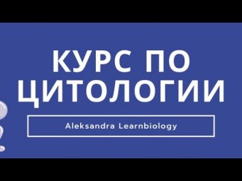 Курс по клетке