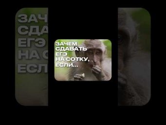 СИСТЕМА ОЦЕНИВАНИЯ ЕГЭ #обществознание #егэ #школа #обществознаниеегэ #сотка