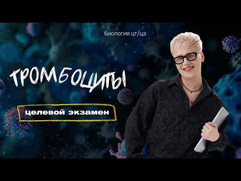 ТРОМБОЦИТЫ. ФОРМИРОВАНИЕ ТРОМБОВ | Целевой экзамен