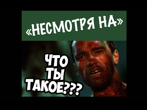 Несмотря на / невзирая на Несмотря на / невзирая на