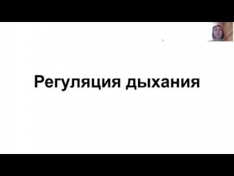 Регуляция дыхания