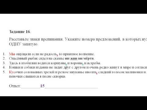 11 класс РЯ  РАЗБОР ДЗ 38 я неделя