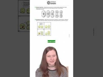КАК ЗАЖИВАЕТ РАНКА  тгк: Марина Брейн #егэ2027 #егэбиология