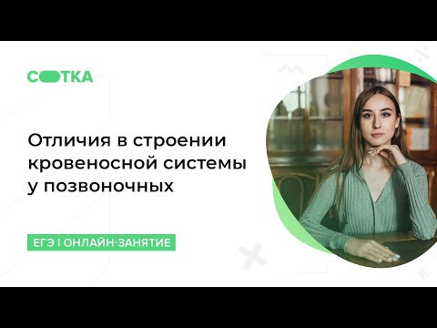 Отличия в строении кровеносной системы у позвоночных | ЕГЭ БИОЛОГИЯ 2020 | Онлайн-школа СОТКА