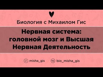 Нервная система: головной мозг и ВНД  | ЕГЭ ОГЭ Биология с Михаилом Гис