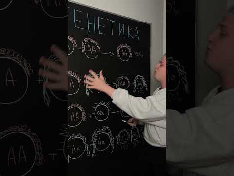 Какие волосы будут у твоих детей | Биология с Яном
