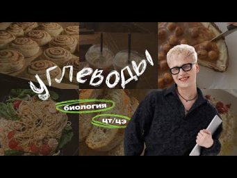 УГЛЕВОДЫ | ЦТ, ЦЭ по Биологии | Ян Менделеев