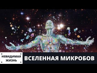 Невидимая жизнь  Вселенная микробов