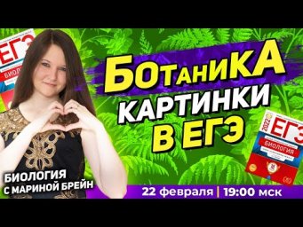 БОТАНИКА КАРТИНКИ В ЕГЭ ПО БИОЛОГИИ
