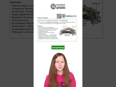 ОТКУДА ФЕРМЕНТЫ В СЛЮНЕ  тгк: Марина Брейн #егэ2027 #егэбиология