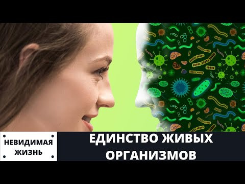 Невидимая жизнь Единство живых организмов Невидимая жизнь Единство живых организмов