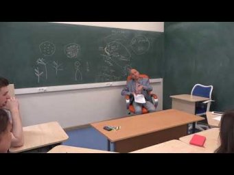 14. Триозы и ацетилкофермент в клеточном дыхании