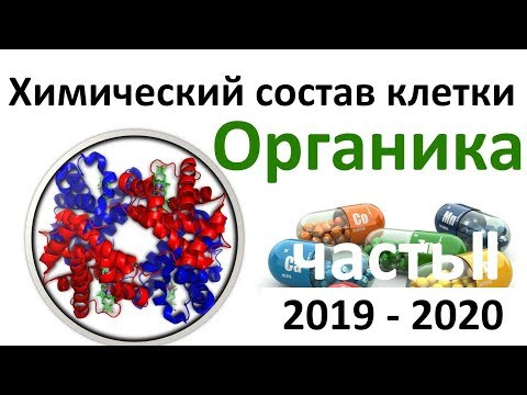 2. Химия клетки часть II (9 или 10-11 класс) - биология, подготовка к ЕГЭ и ОГЭ 2020 2. Химия клетки часть II (9 или 10-11 класс) - биология, подготовка к ЕГЭ и ОГЭ 2020