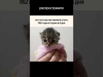 страшно жить в таком мире!! материалы для егэ в тгк: godunova_saharov #егэ2025 #история #историяегэ