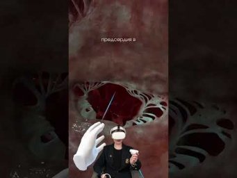 створчатые клапаны сердца, также известные как атриовентрикулярные клапаны, #биология #егэбиология