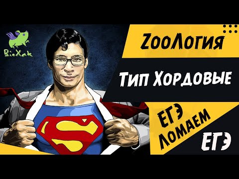 Тип Хордовые/ скрипт / домашка /BioXak Тип Хордовые/ скрипт / домашка /BioXak