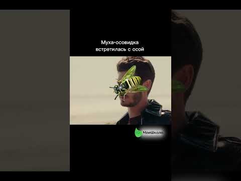 Мимикрия, она такая&hellip; #огэ #егэ #биология #огэбиология #егэбиология #огэ2024 #егэ2024 #учеба #юмор