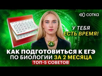 Как подготовиться к ЕГЭ по биологии за 2 месяца: топ-5 советов