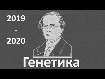 10. Генетика часть I (9 или 10-11 класс) - биология, подготовка к ЕГЭ и ОГЭ 2020