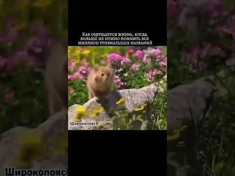 Когдп можно начать забывать #химияегэ #егэхимия