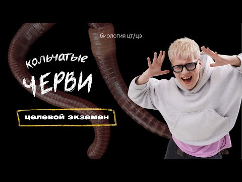 ТИП КОЛЬЧАТЫЕ ЧЕРВИ. ДОЖДЕВОЙ ЧЕРВЬ | Целевой экзамен ТИП КОЛЬЧАТЫЕ ЧЕРВИ. ДОЖДЕВОЙ ЧЕРВЬ | Целевой экзамен