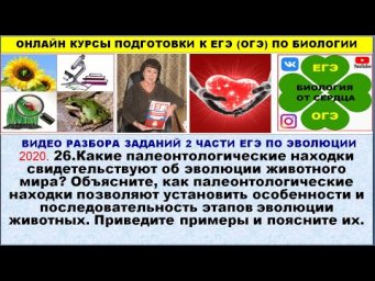 ЗАДАНИЕ ЕГЭ 2020. ЛИНИЯ 26. ПРО ПАЛЕОНТОЛОГИЧЕСКИЕ НАХОДКИ