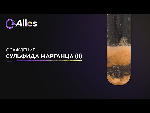 ПОЛУЧЕНИЕ СУЛЬФИДА МАРГАНЦА (II)