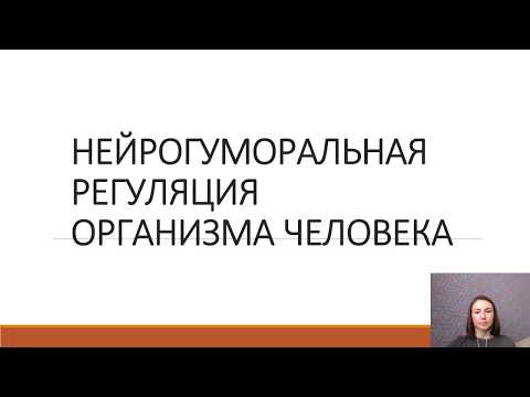 Нейрогуморальная регуляция Нейрогуморальная регуляция