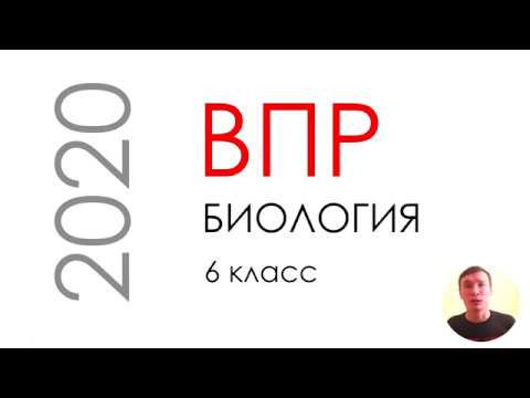ВПР 6 класс 2020
